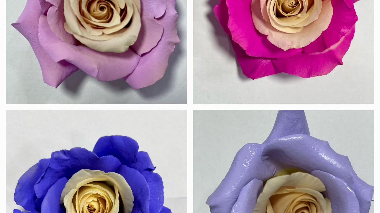 The world of dyed roses π