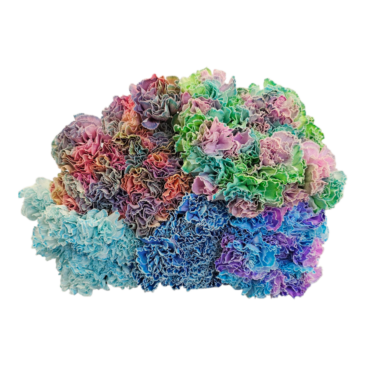Carnation tinted Light mix – Giving Flowers