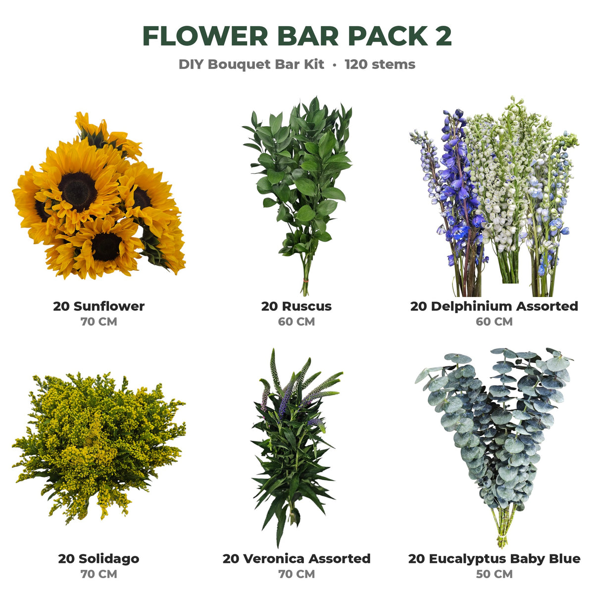 Flower Bar Pack 2 box contents: 20 sunflower, 20 ruscus, 20 delphinium, 20 solidago, 20 veronica, 20 eucalyptus baby blue