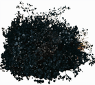 Gypsophila Xlence Black