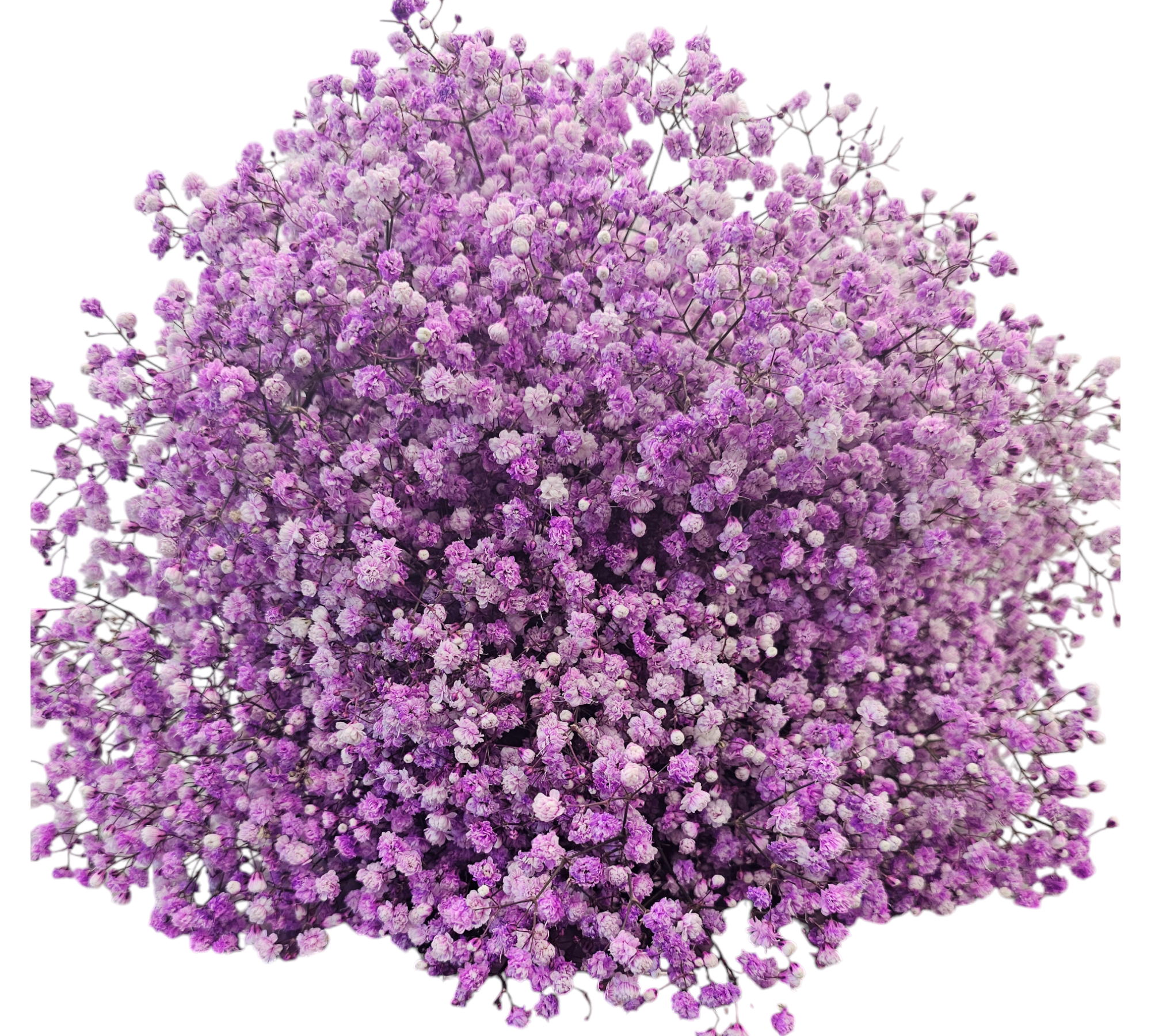 B.CSALE gypsohila Flower Knit Gypsophila_-