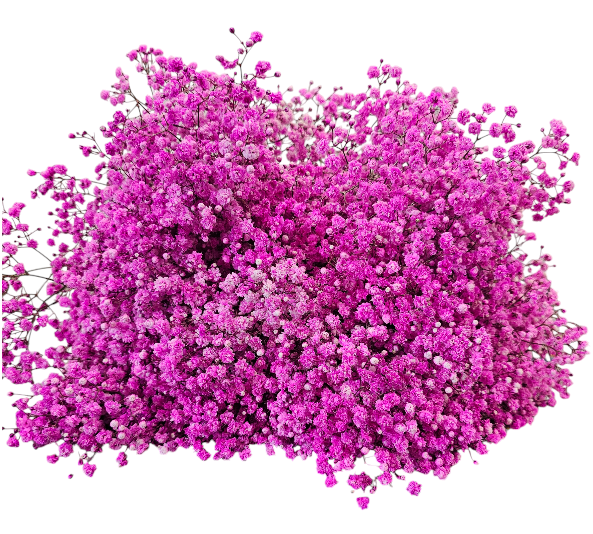 新品★ジプソフィア Gypsohila トゥインクルトップス トップス | gypsohila