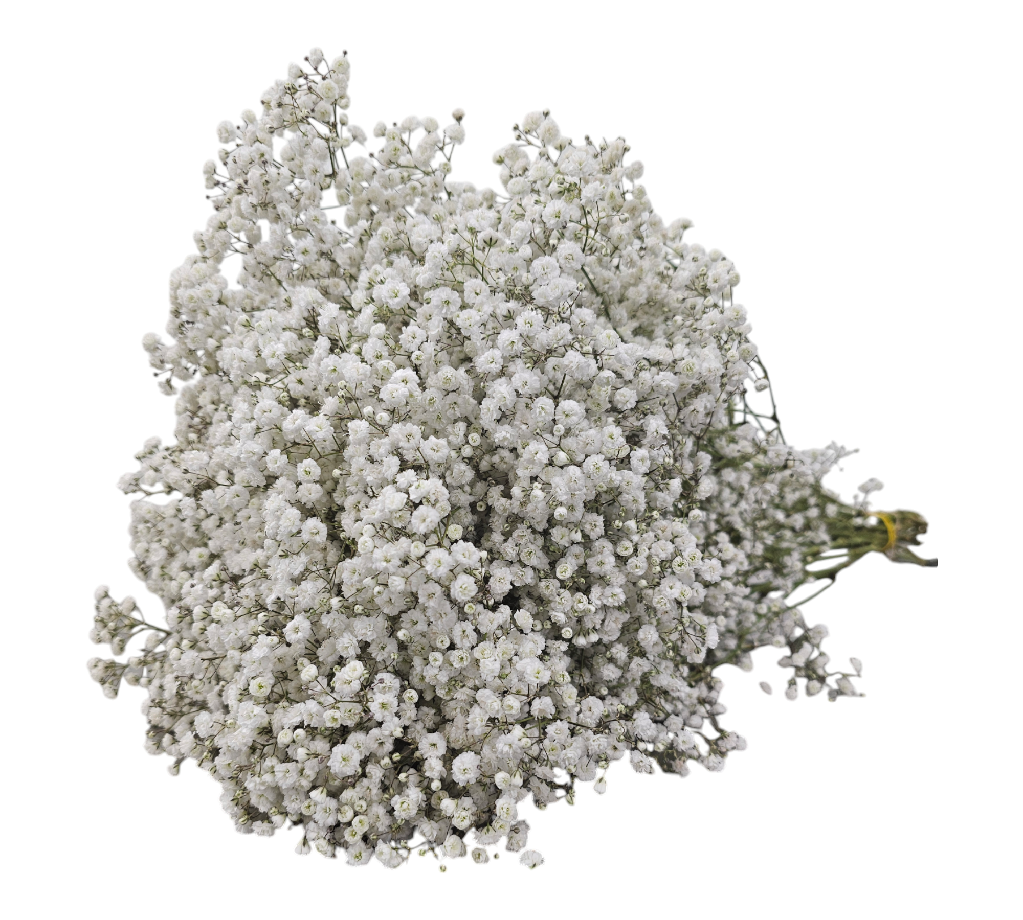 B.CSALE gypsohila Flower Knit Amazon.com: 7pcs Crochet Flowers