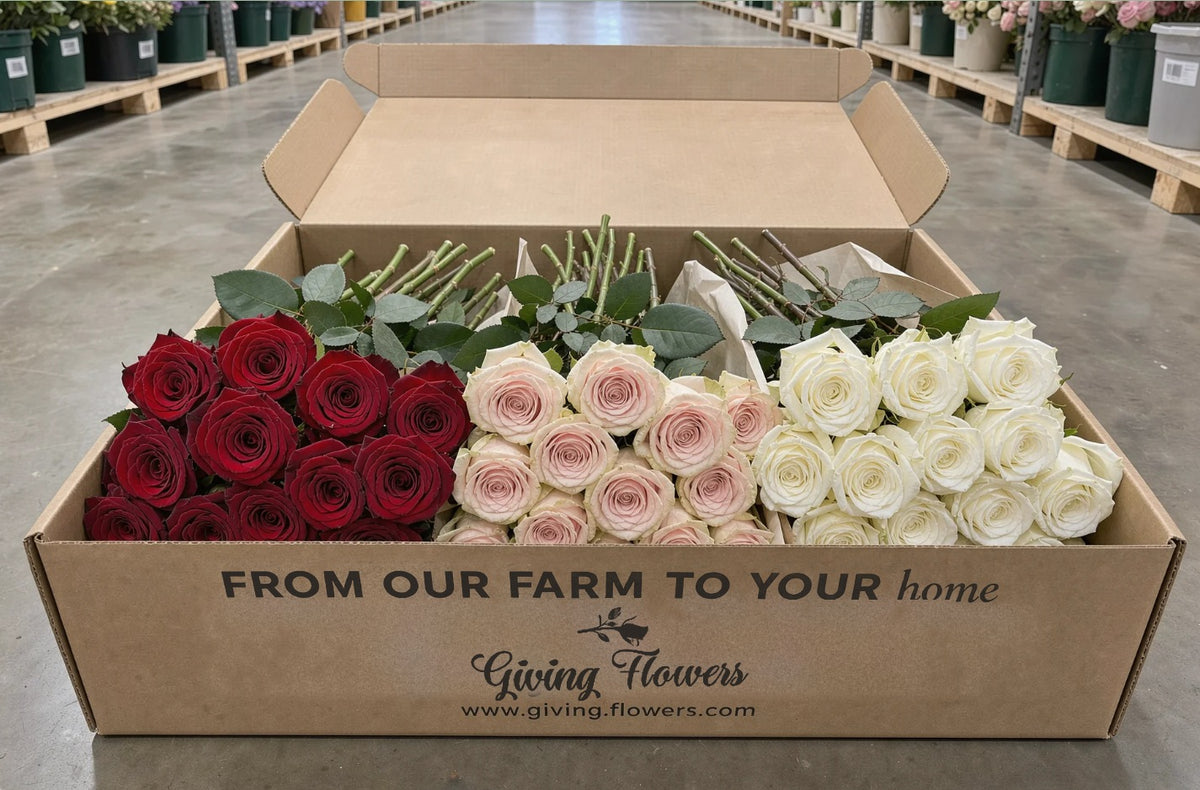 Giving Flowers kraft box filled with Giving Roses bunches